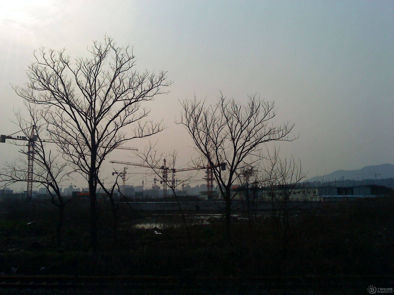 DSC02201.JPG