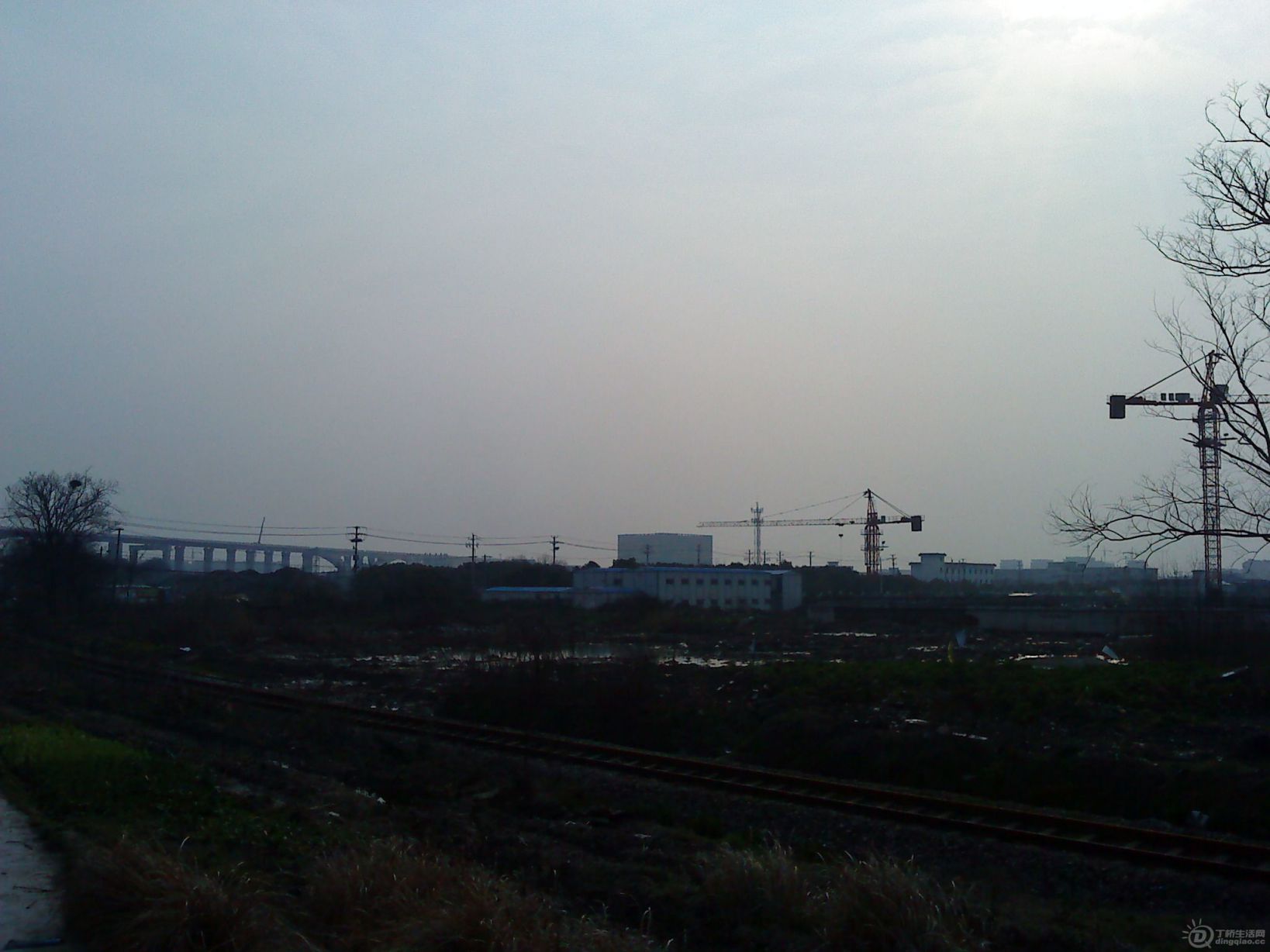 DSC02202.JPG
