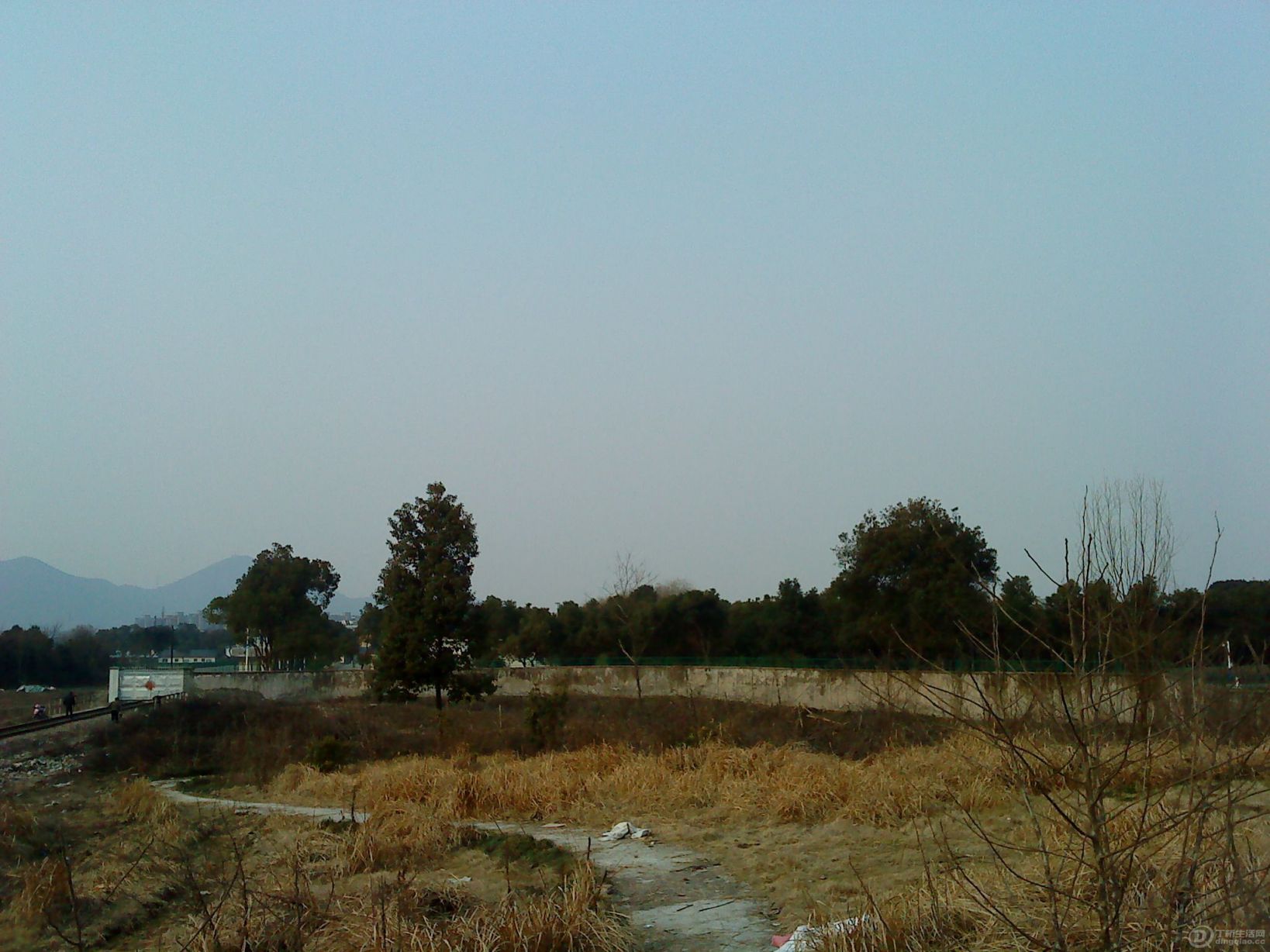 DSC02203.JPG