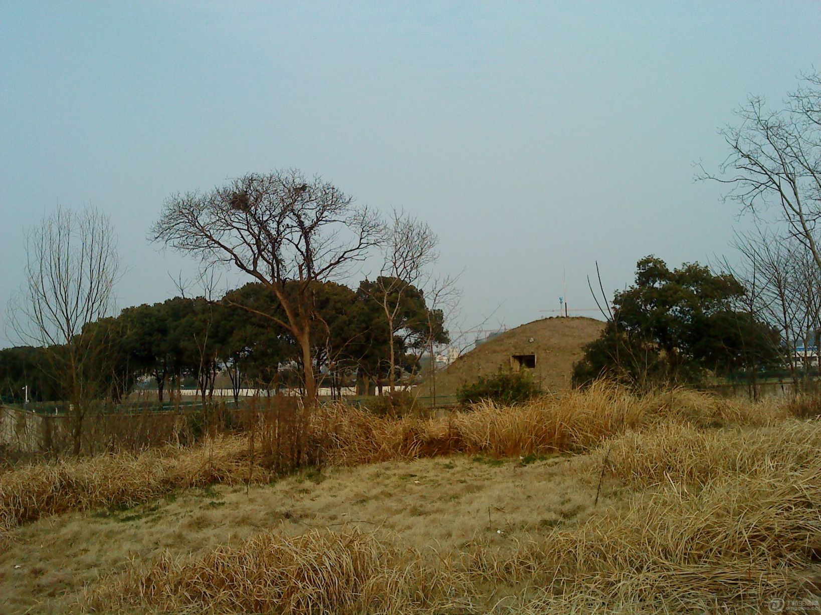 DSC02204.JPG