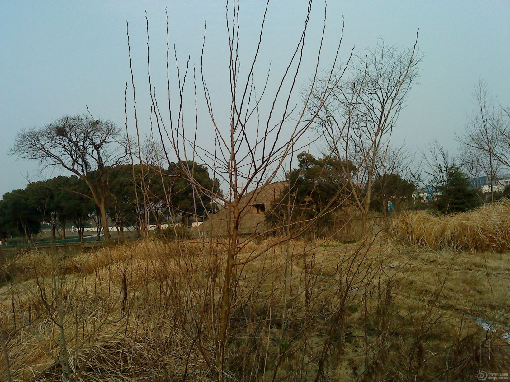DSC02205.JPG