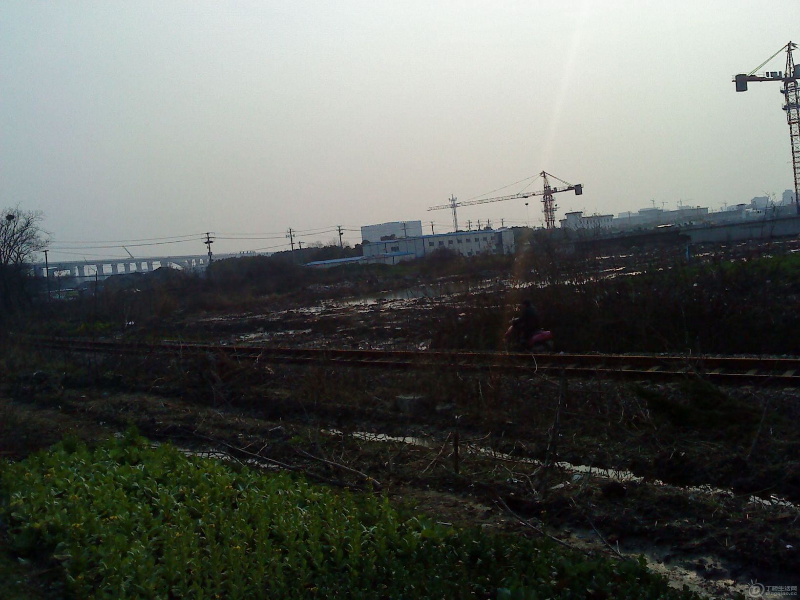 DSC02207.JPG
