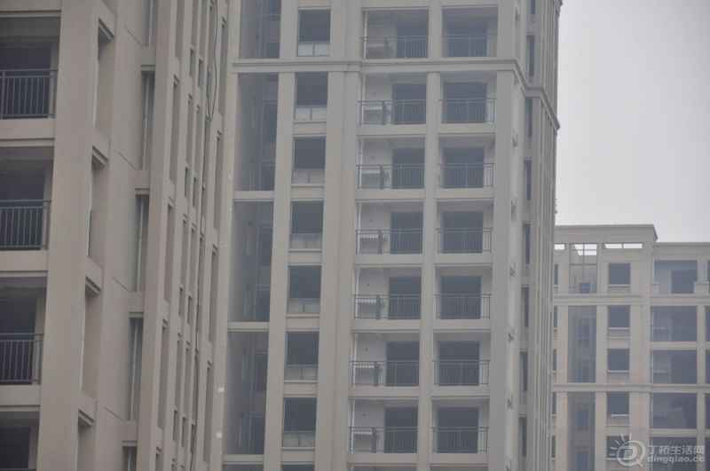 DSC_0203.JPG