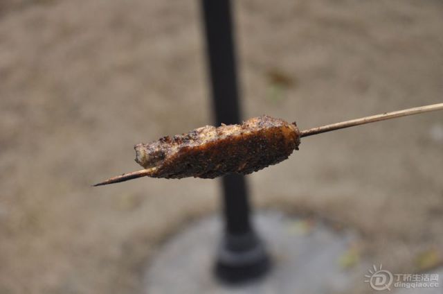 DSC_0060.jpg