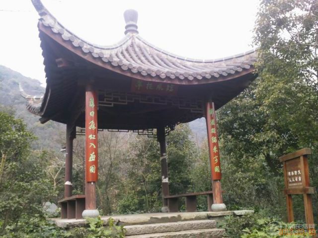 YP0015.jpg