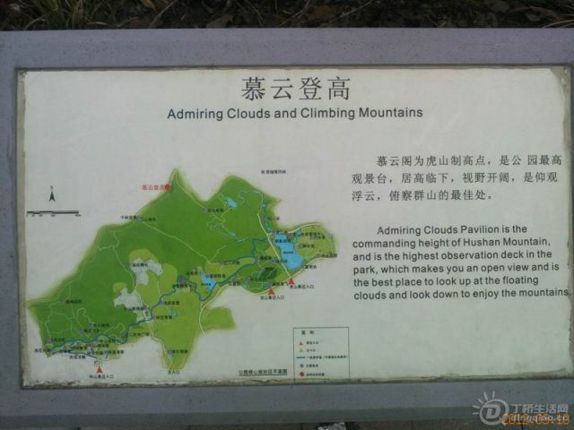 YP0020.jpg