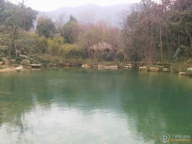 YP0029.jpg