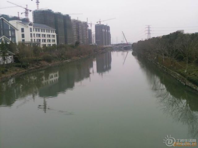 YP0037.jpg
