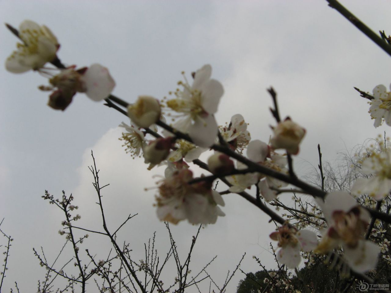 IMG_3500.JPG