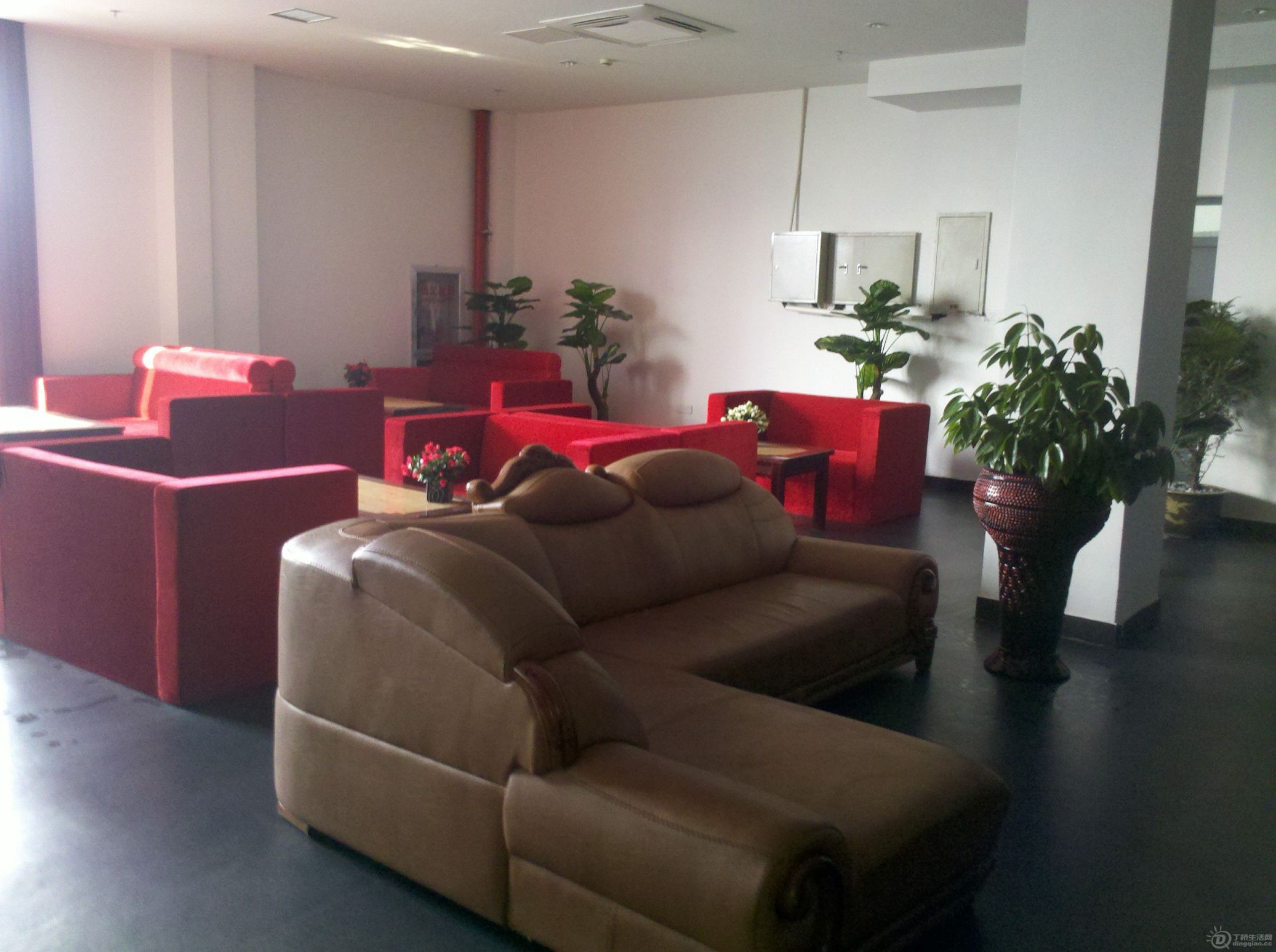 IMG_20120326_092356.jpg