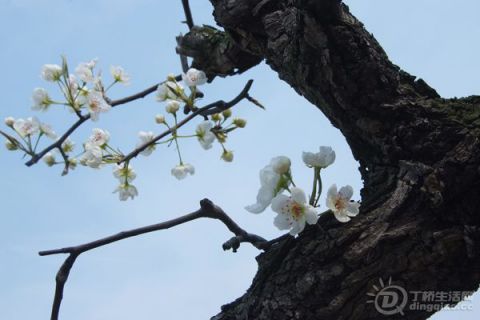 2010327175830439[1].jpg