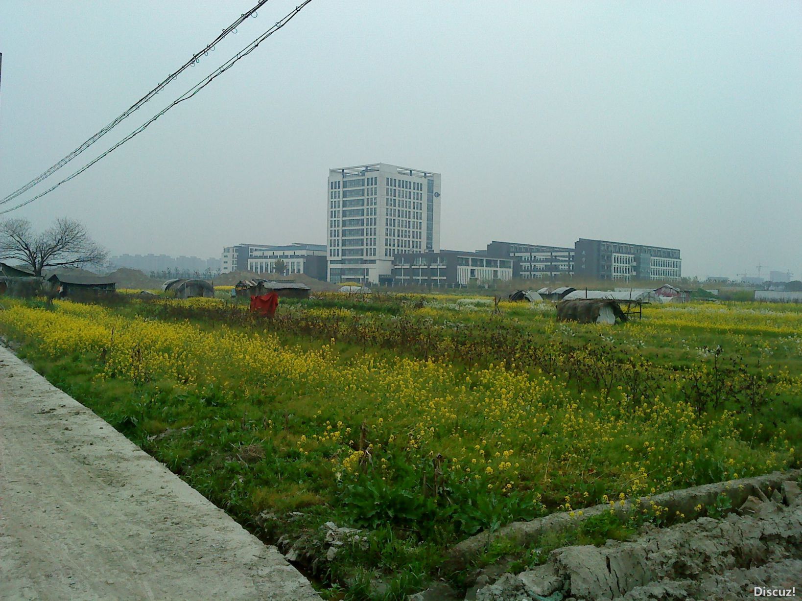 DSC02520.JPG