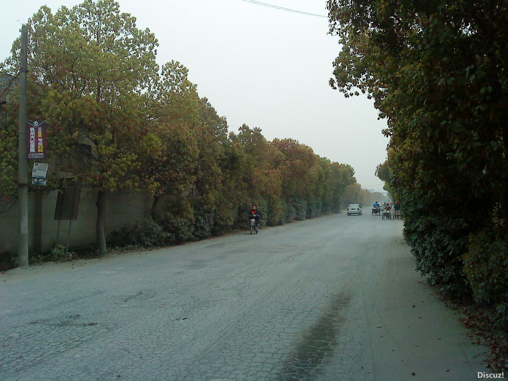 DSC02527.JPG