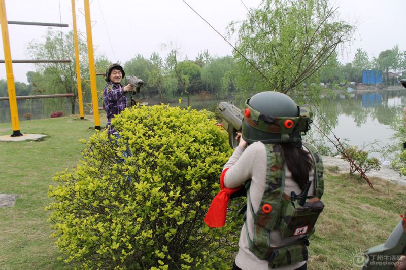 24.jpg