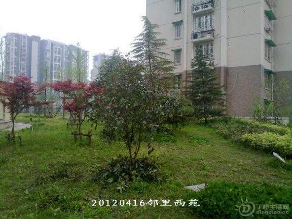 20120416732_.jpg