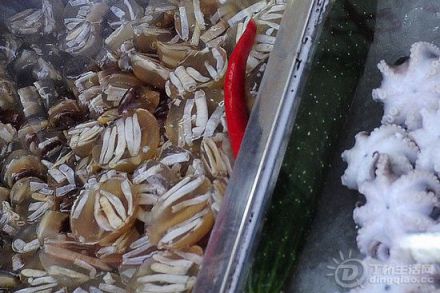 20110520093250689.jpg