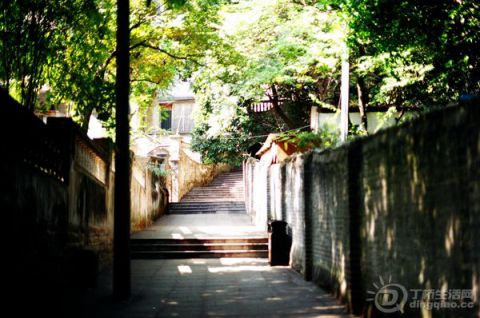 20111212064308908.jpg