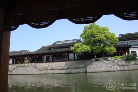 DSC08518.jpg