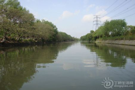 DSC08524.jpg