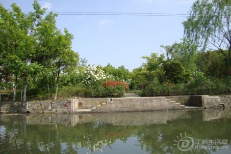DSC08530.jpg