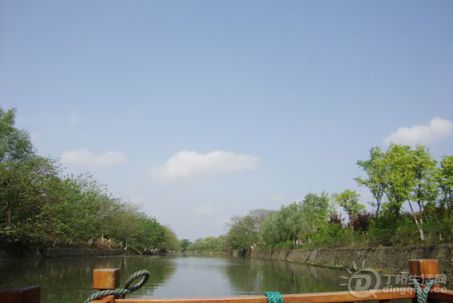 DSC08532.jpg