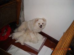Ƭa 014.jpg