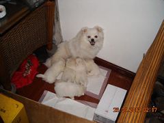 Ƭa 022.jpg