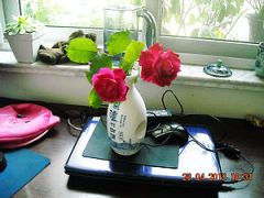 Ƭa 028.jpg