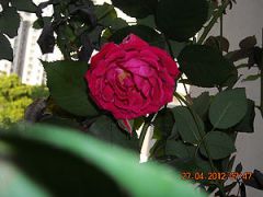 Ƭa 033.jpg