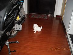Ƭa 040.jpg