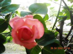 Ƭa 047.jpg