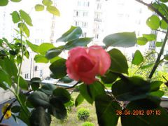 Ƭa 046.jpg