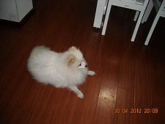 Ƭa 058.jpg