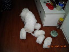 Ƭa 070.jpg