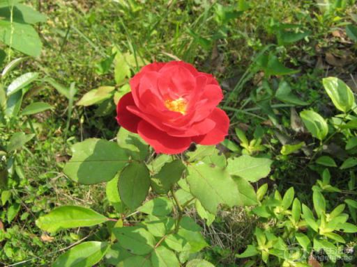 IMG_3868.JPG