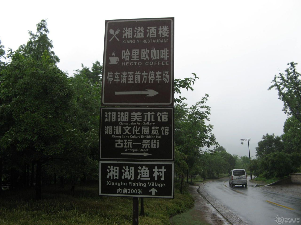 IMG_4008.JPG