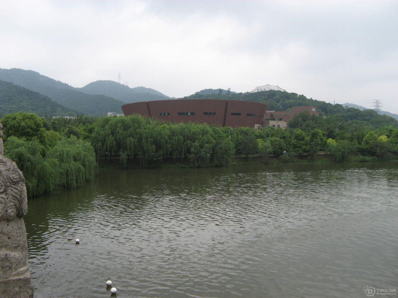 IMG_4123.JPG