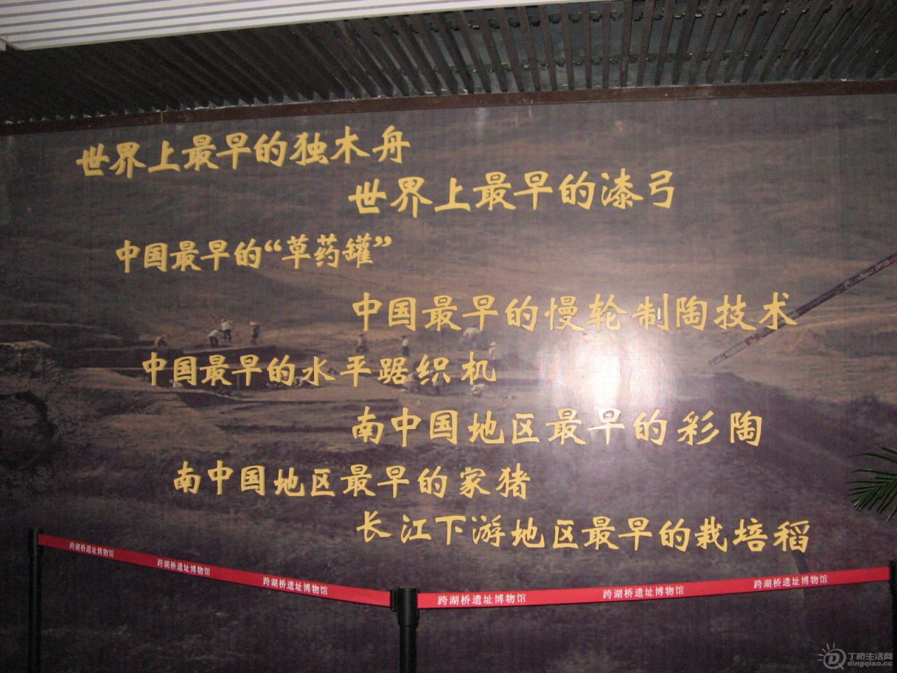 IMG_4145.JPG