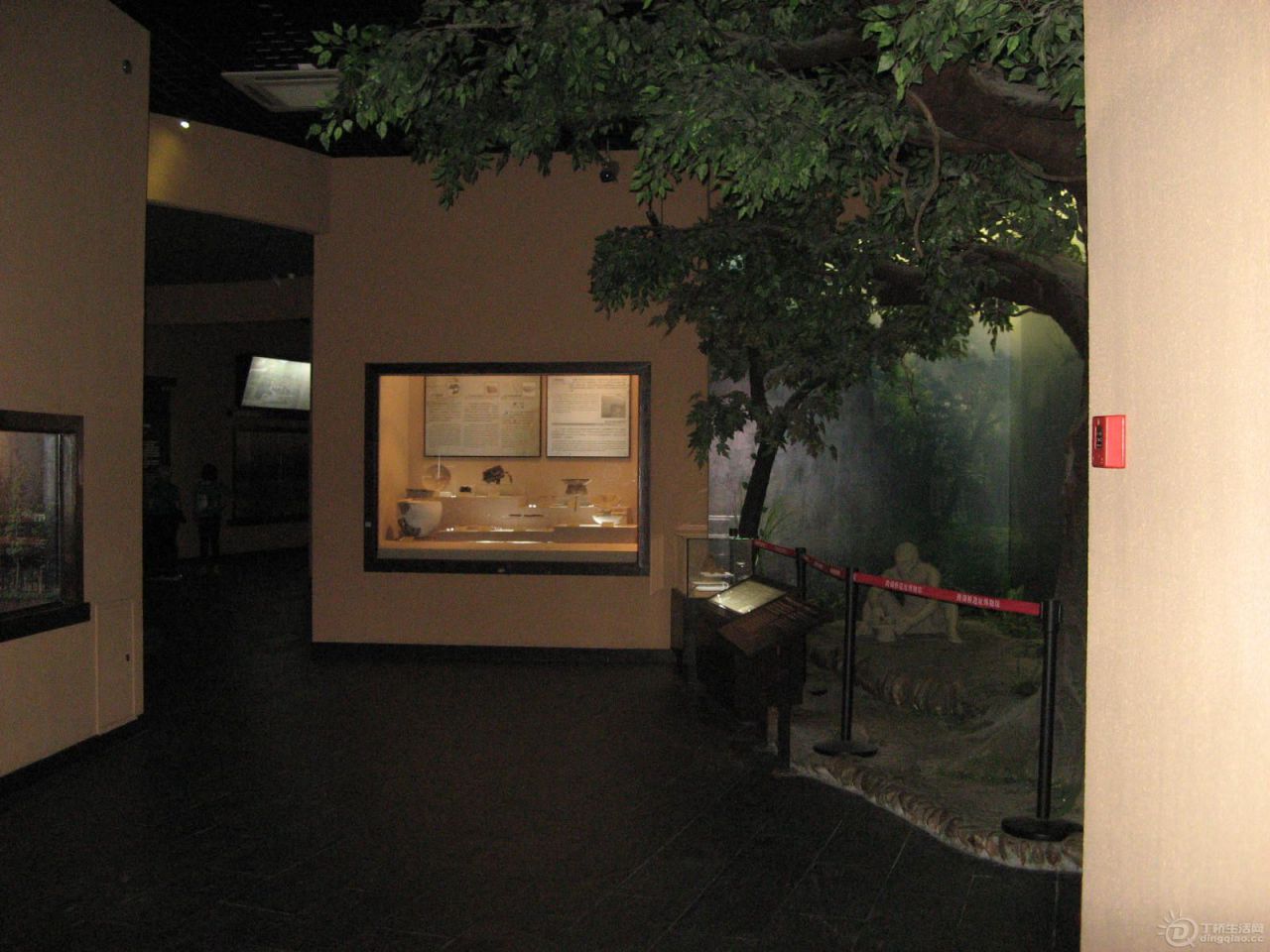 IMG_4156.JPG