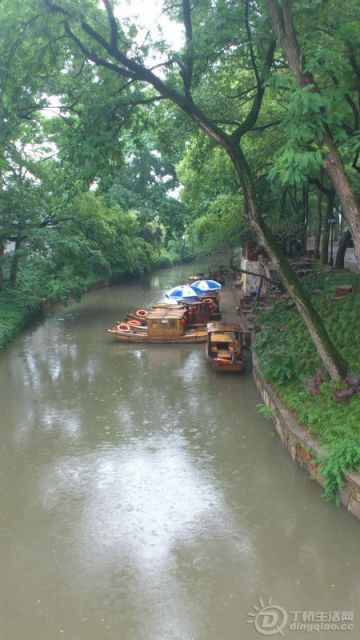 DSC_0010.JPG