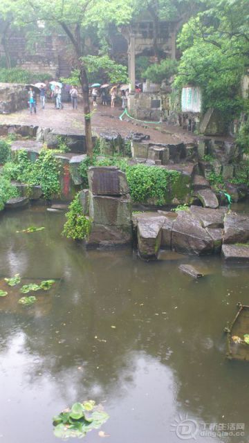 DSC_0032.JPG