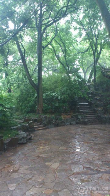 DSC_0033.JPG