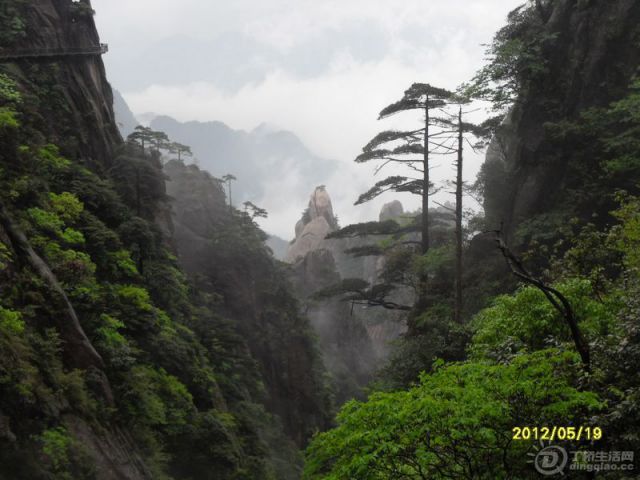 SDC14014.jpg
