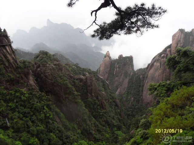 SDC14015.jpg