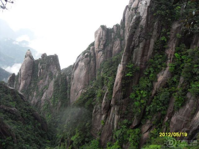SDC14017.jpg