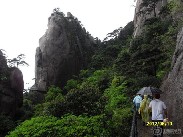 SDC14020.jpg