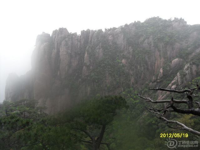 SDC14021.jpg