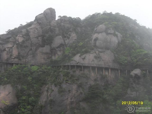 SDC14022.jpg