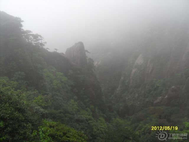 SDC14028.jpg