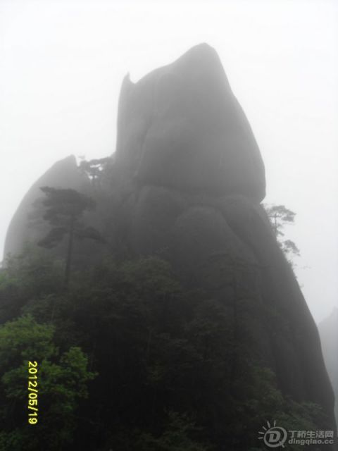 SDC14031.jpg